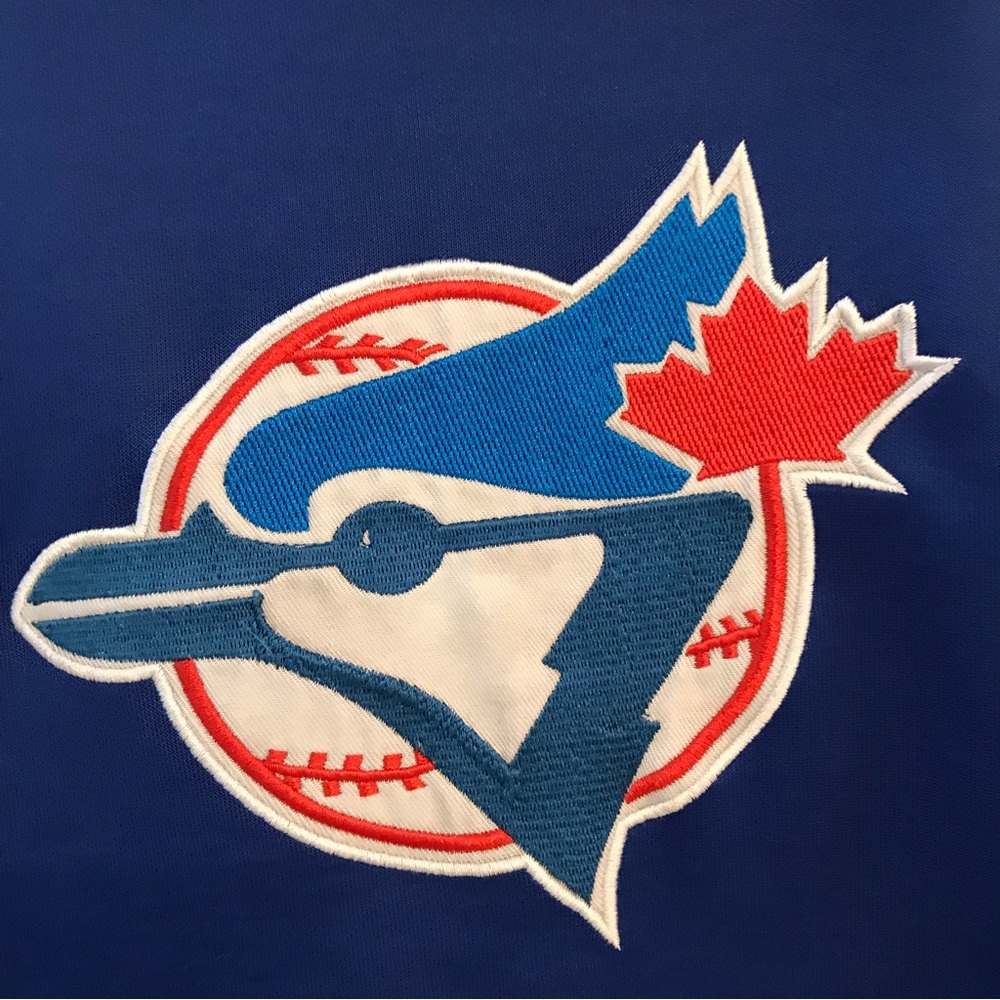MLB Toronto Blue Jays Kids Large Pullover Hoodie Sweatshirt Blue Embroidered - Picture 4 of 6